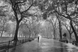 Poets Walk Central Park New York City