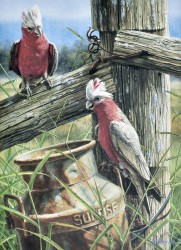 Sunrise by Gordon Hanley