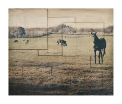 Horse Farm by Pezhman Deljou