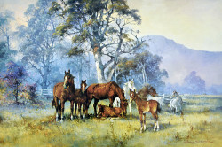 The Yearlings by Darcy Doyle