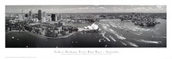 Sydney Harbour, Ferry Boat Race by Phil Gray