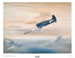 Flying into Dusk by F S Stringer