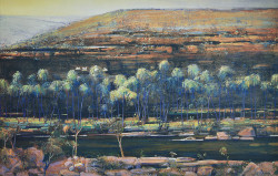 Corellas Palm Valley by Brendon Darby