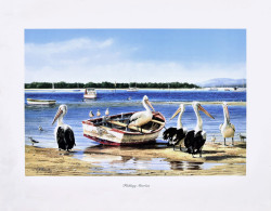 Fishing Stories by Gordon Hanley