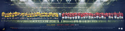 Wallabies V British and Irish Lions 2013 Limited Edition of 1000