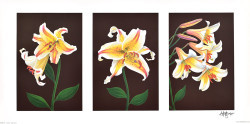 Triptych, Tiger Lillies by Andrew Patsalou