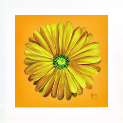 Gerbera Gold by Karen Foley