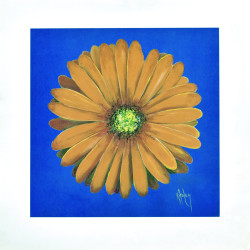 Gerbera Orange by Karen Foley