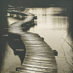 Gotta Stop Drinking by Steven Mitchell