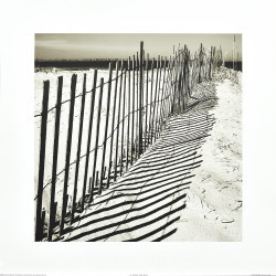 Sand Duna by Steven Mitchell