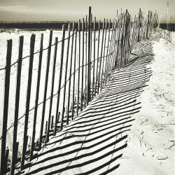 Sand Duna by Steven Mitchell