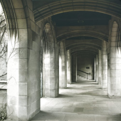 The Corridor by Steven Mitchell