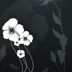 Ebony & Ivory III by Kate Knight