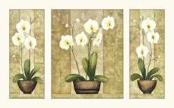 Flowers Triptych A by Urpina