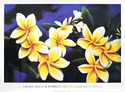 Fragrant Frangi by Warren Salter