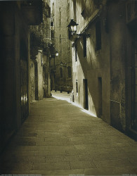 Rue de Venus by Steven Mitchell