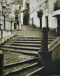 Stairs of Venus by Steven Mitchell