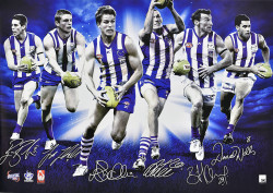 North Melbourne Stars