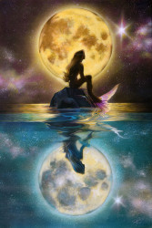 Ariel's Reflections by John Rowe