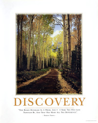 Discovery by Robert J Ford