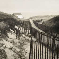 Dune Fence by Christine Triebert
