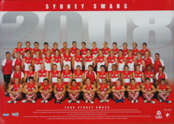 2008 Sydney Swans