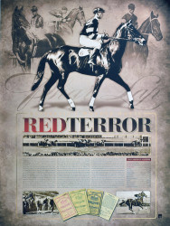 Australia's Wonder Horse - Red Terror (Phar Lap)