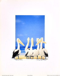 Pelican Pose by Bernie Walsh