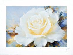 White Rose by Igor Levashov