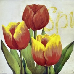 Tulipaner Bilde I