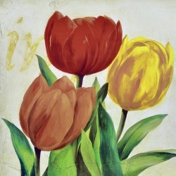 Tulipaner Bilde II by Anonymous