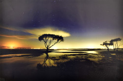 Sunset Over the Savannah