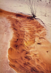 Unnames Stream, Lake Boomanjin, Fraser Island by Leigh & Barbara Hemmings
