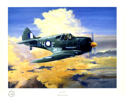 CAC Boomerang by Colin Parker