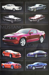 Mustang Evolution