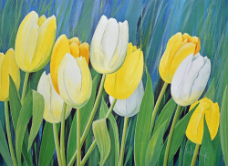 Tulips by Franz Heigl