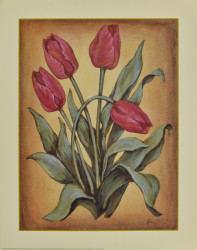 Red Tulips by Cebo