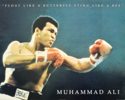 Float Like a Butterfly Sting Like a Bee - Muhammad Ali