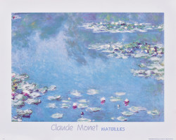 Waterlilies