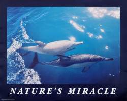 Nature's Miracle