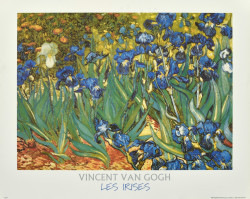 Les Irises by Vincent Van Gogh