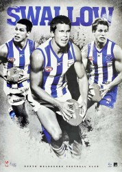 Swallow - North Melbourne Football Club