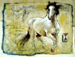 The Elegance by Joadoor