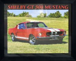 Shelby GT 500 Mustang