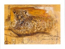 Wild Life II by Joadoor