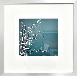 Chinese Blossom by Simon Fairless