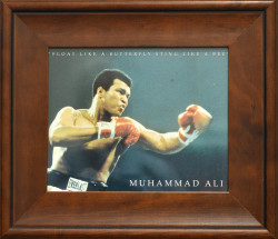 Float Like a Butterfly Sting Like a Bee - Muhammad Ali