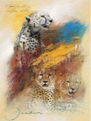 Royal Session by Joadoor