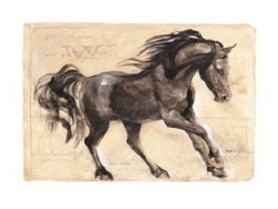 Maestro by Talantbek Chekirov