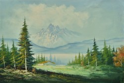 Cabin in the Mountains